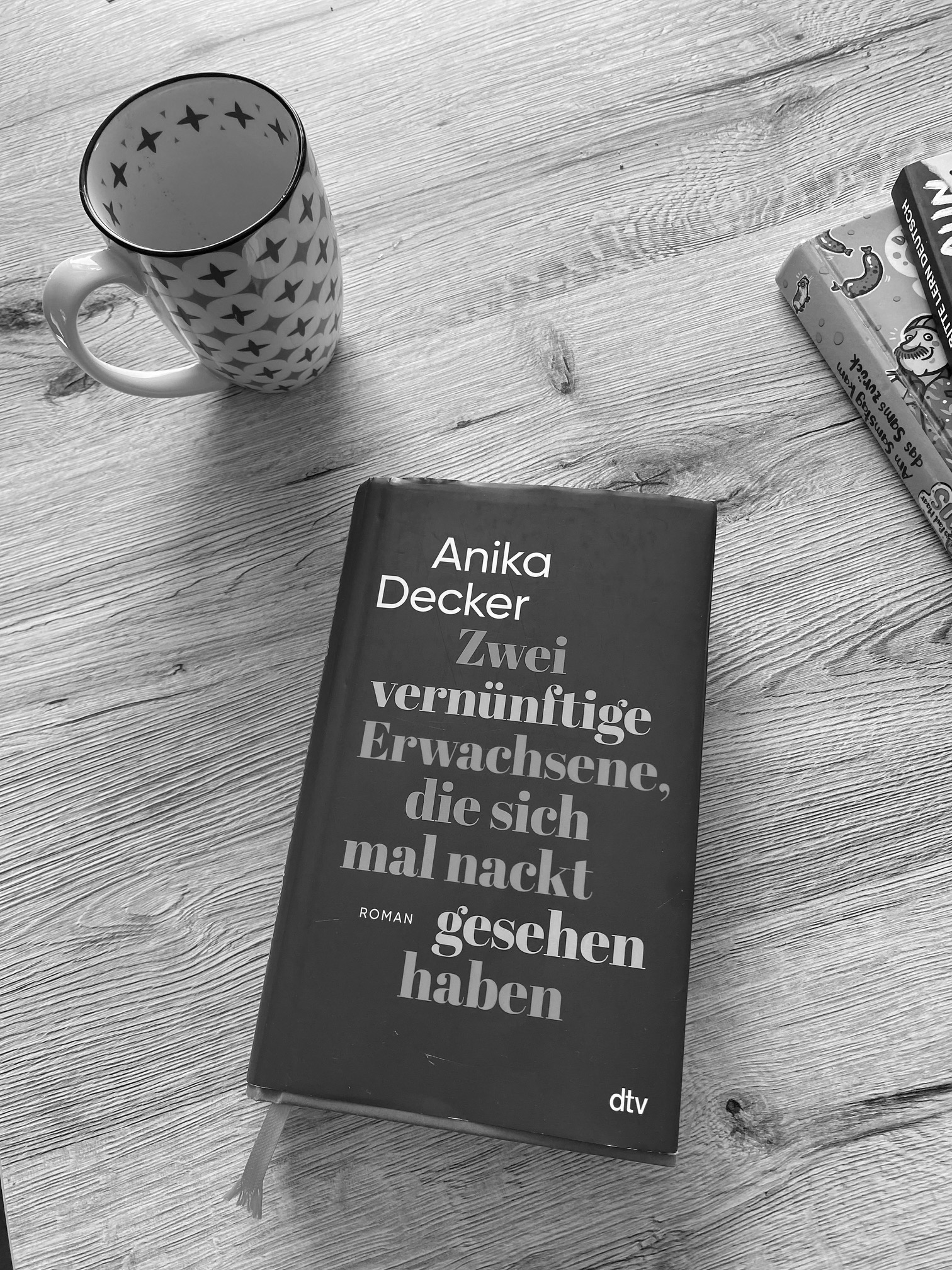 roman-anika-decker-zwei-vernuenftige-erwachsene